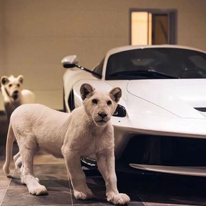 女人偷拍自感自摸黄色片
